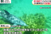 福井の海岸で男性がイルカに手足を噛まれ怪我
