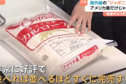 アメリカ産の米がスーパーで大人気wwwwwww