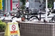 【動画】墨田区の公園で鳩を捕まえて持ち帰る外国人が撮影される。