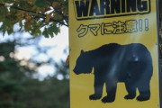 【閲覧注意】クマに襲われた被害者の医療論文、内容が凄まじい…