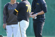 阪神　藤川球児SAが秋季キャンプ視察　ブルペンで桐敷拓馬、岡留英貴らをじっくり観察