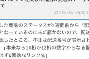 ワイ「荷物が届かないんですが」通販サイト「住所が見当たらず返送されてきました」  →バトル開始