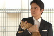 【違いは何？】福山雅治の“保護猫”飼育に称賛が殺到！指原莉乃や古市憲寿とは大違い？