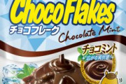 ひんやりミントの爽快感！「チョコフレーク チョコミント」が今年も発売！！！