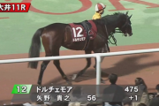 今日の大井メインに元G1馬ドルチェモアさんが出走