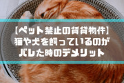 ペット禁止物件でネコ飼ったらバレる？