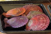 天草で変な色の貝食べてきたよ（※画像あり）