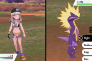 【ポケモンSV】ポケモン対戦環境って新作の第１シーズンが一番面白いよな