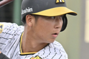 井坪陽生（打率.167 18-3）←来年は一軍定着して欲しい件