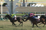【競馬】武基地「スマートレイアーはマイラーだし弱い」