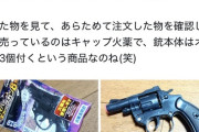 【画像】ネット民でも買える対クマ用拳銃ｗｗｗｗ