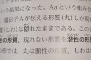 【画像】理科の教科書、ついに「優性」「劣性」の表記を廃止→「顕性｣｢潜性｣に