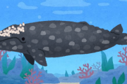 【悲報】クジラの皮膚、寄生虫だらけでキモい
