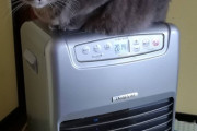 【画像】俺ん家のネッコ、ファンヒーターを鎮圧するｗｗｗｗ