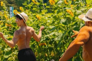 ふたりのマッチョがひまわり畑を駆けまわる画像