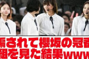 【乃木坂46】 騙されて櫻坂の冠番組を見た結果wwwwwww【ネットの反応】