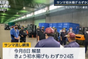 【不漁】サンマ２４匹しか取れず高級魚へ・・・１匹１万円