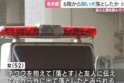 高齢チワワを6階から故意に落とす… 飼い主の52歳無職の女を動物愛護法違反の疑いで逮捕