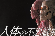 【閲覧注意】ワイ、『人体の不思議展』を調べて眠れなくなる