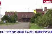 中学生の時に暴力を受けた人、5年ぶりに再開したいじめっ子の顔面を粉砕する