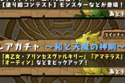 パズドラに自信ニキ助けて