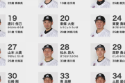 プロ野球選手ってキラキラネーム殆どいないよな
