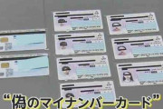 【中国籍の女逮捕】マイナカード750枚含む約1万枚のカード偽造か　中国から指示受け…