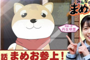 【日向坂46】丹生明里原案「みんなのまめお』第一話フル公開へ！！！