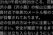 佐賀県で70メートルの熊が出没ｗｗｗ