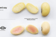 【謎豆？謎肉？】豚遺伝子を持つ大豆に米農務省が認可　コオロギなんて要らんかったんや！