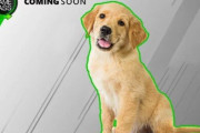 マイクロソフト「ゲームパス加入者に本物の『犬』をプレゼントするよ！あ、気に入らなければ拒否してもいいよ」