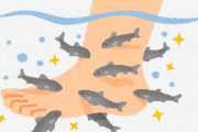 足洗ってない歴10年の男、スパのドクターフィッシュを全滅させる・・・