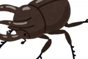 カブトムシとかいう昆虫の王道面してる雑魚