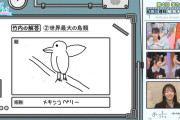 【爆笑！】竹内希来里の解答が「未知の鳥」www【日向坂で会いましょう【日向坂46】