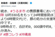 【沖縄豚コレラ】自衛隊が２４時間態勢で作業→沖縄タイムス「県職員は大変だなー」