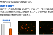 【国民病】糖尿病の発症メカニズムを遺伝子で解明　なぜ日本人は少しの肥満で糖尿病になるのか