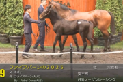 【セレクトセール2025】ファイアバーンの2025(父キズナ)が32,000万円で落札　他