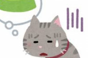猫のごはんと水は離して置いてください。一緒に置くと猫は水を飲まなくなります。
