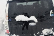 車、雪に埋まってて草