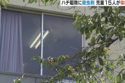 【悲報】小学校の教室にスズメバチが現れ、さっ虫スプレーを噴射 →児童15人が体調不良になり病院に搬送・・・