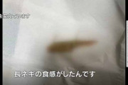 【速報】キムチ「こくうま」にバッタ混入…