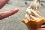 観光地で1人でソフトクリーム食べてるおじさんですけど