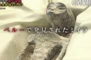 【悲報】ペルー政府｢メキシコの研究所が本物と発表した地球外生命体(宇宙人)のミイラは偽物だ｣