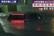 多摩川の氾濫で被害甚大の二子玉川、実は市民に「景観が損なわれる」という理由で堤防建設を中止していた･･･