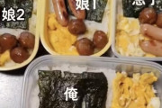 【画像】ワイくんの手作り弁当がコチラ