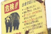 猟友会がクマの駆除を辞退「高校生のコンビニのバイトみたいな金額。ハンター馬鹿にしてない？」