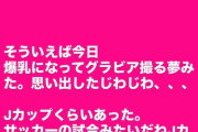 【元AKB48】増田有華さん、おっぱいで盛大にバズる