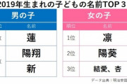【画像】2019年生まれの子どもの名前TOP3ｗｗｗｗｗｗｗｗｗ