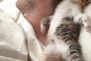 【ねこ画像】左手でスッと何かを差し出してくる猫さん…なんだか粋な仕草ですwww