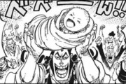 【ワンピ】カイドウを倒すために雉が必要？